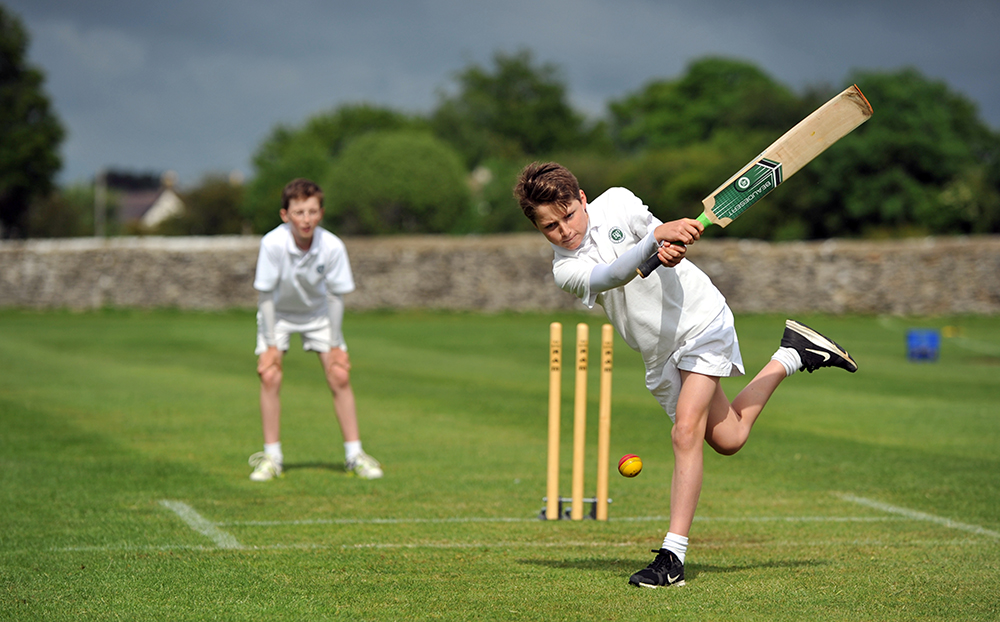 Cricket