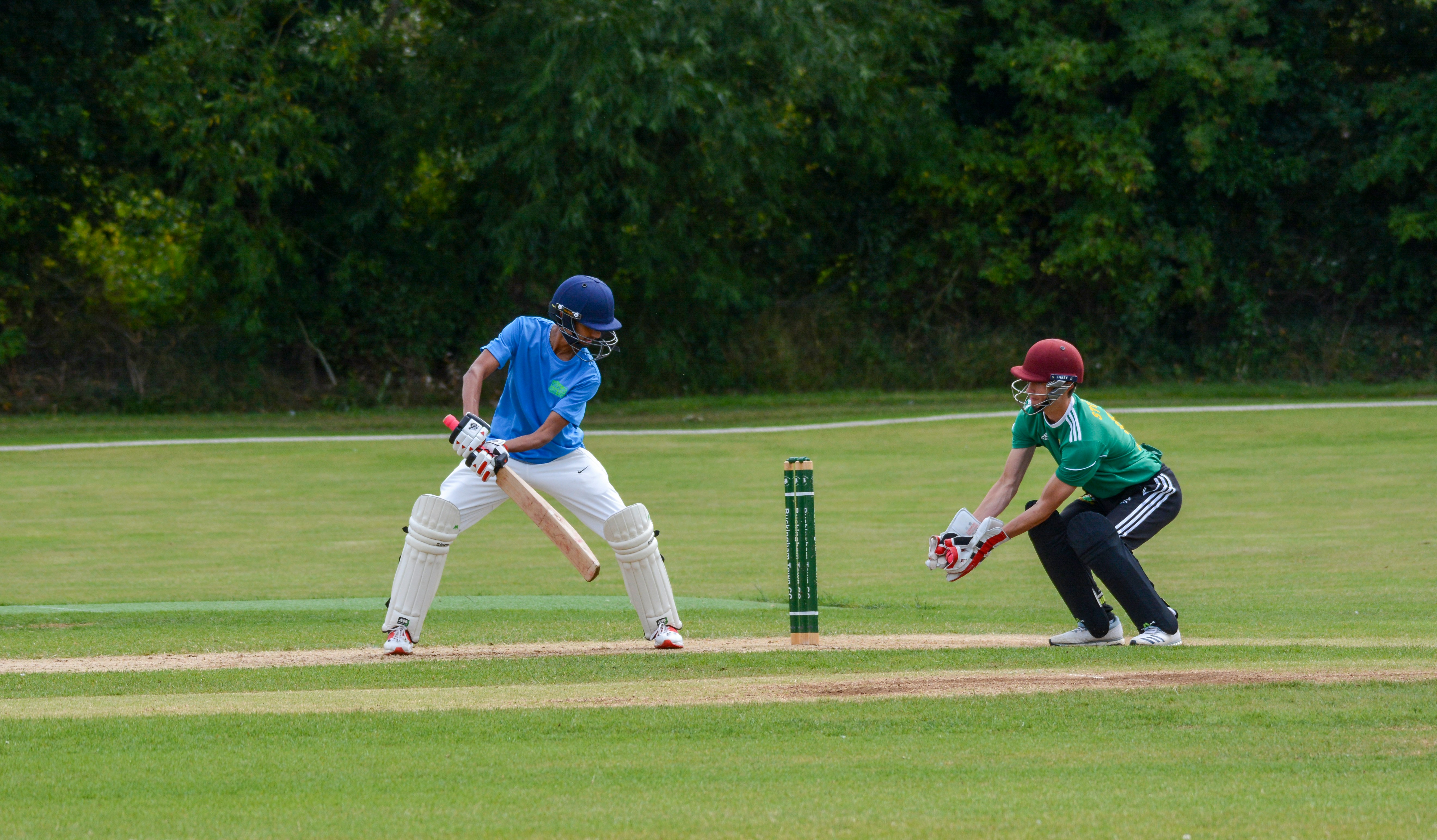 Cricket Championship